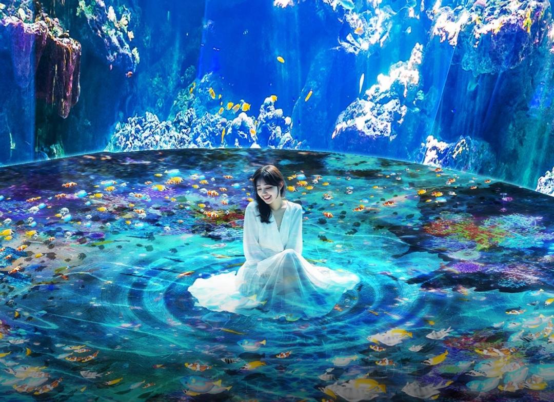 Xpark「珊瑚之森」能親身感受珊瑚礁生命力與魚群活力的沉浸空間。（圖／業者提供）