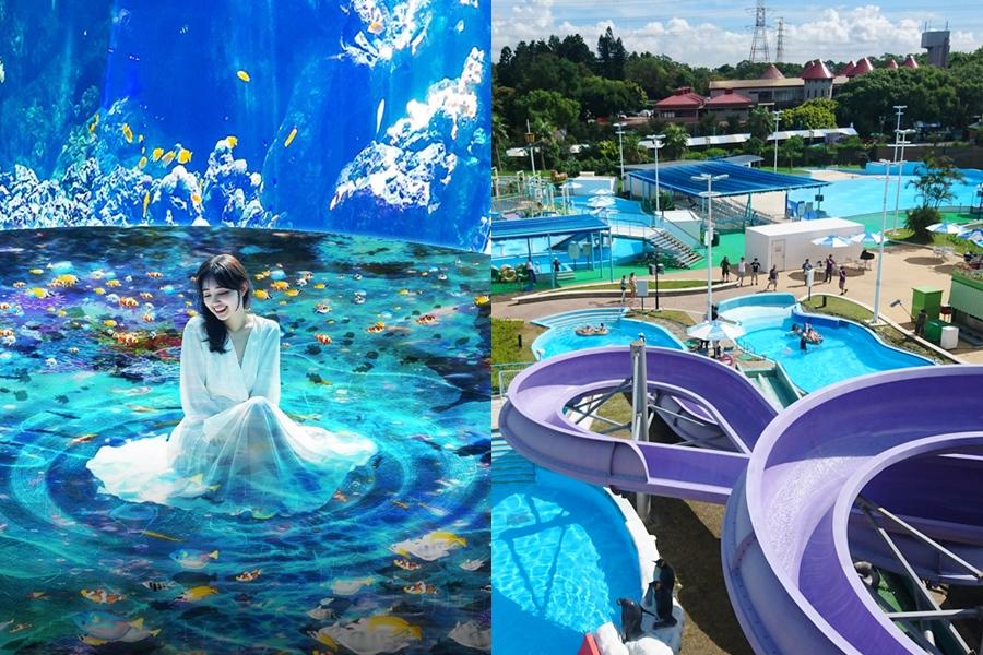 Xpark五週年感謝祭「門票半價」！８月「這一天」生日壽星免費玩六福村