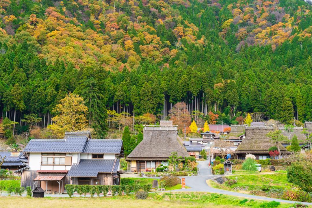 京都美山町茅茸合掌屋。（圖／雄獅旅遊提供）