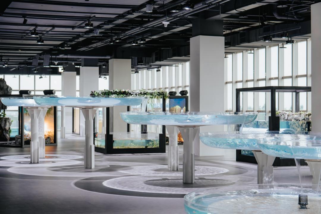 全台首創懸浮於半空中的蓮之水槽，透過仰望或俯視等視角，觀看高低起伏的大甲溪生態。（圖／台中海洋館提供）