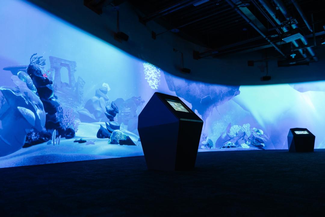 海洋學園可藉由全景互動投影，學習更多海洋生物知識。（圖／台中海洋館提供）