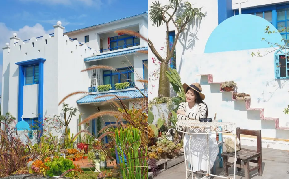 彰化新景點免費參觀！藍白地中海風格「多肉花園」500多種療癒植物超好拍