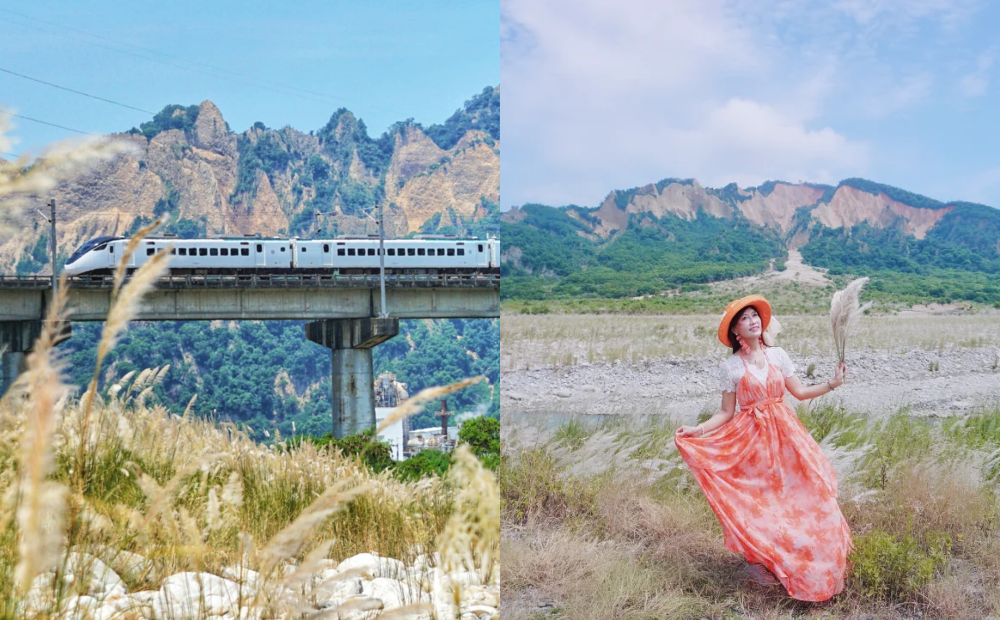 苗栗「甜根子草」銀白花海盛放！同框火炎山、鐵橋火車絕美視角曝光