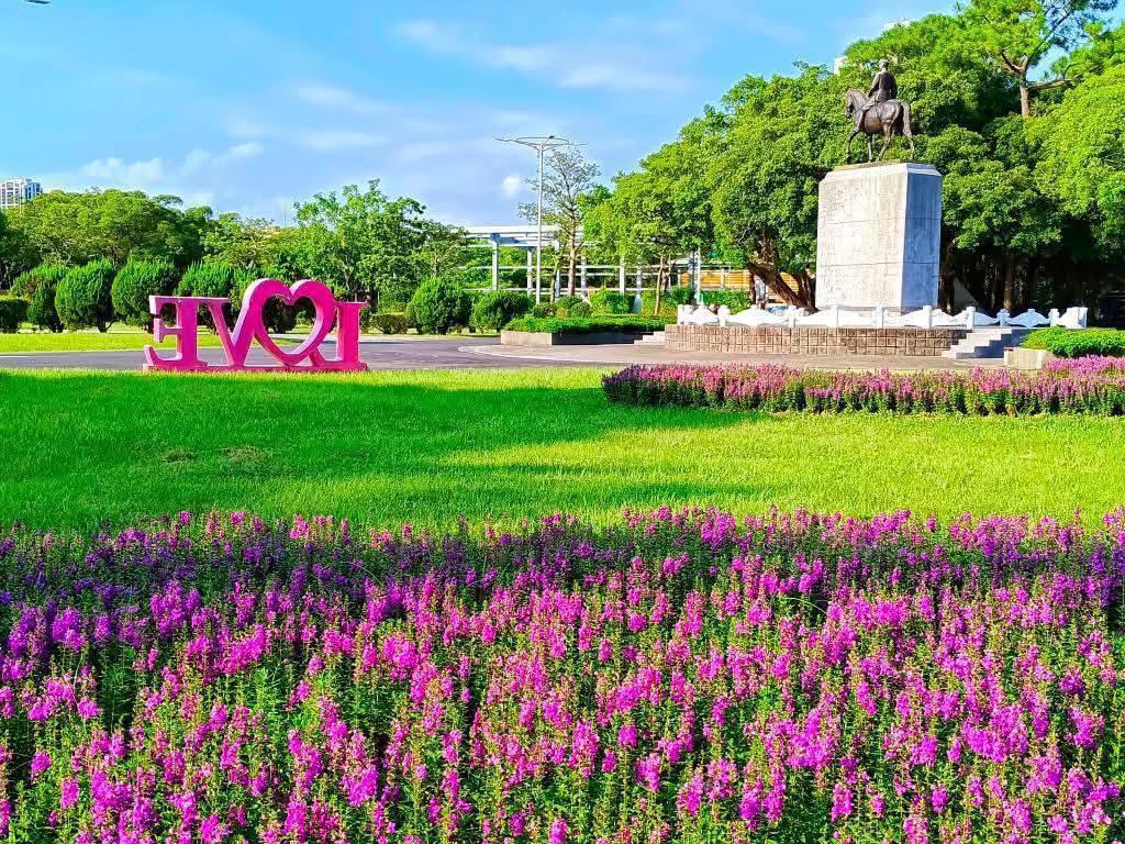 天使花海搭配周圍的裝置藝術一起入鏡。（圖／網友蔡麗媛提供）