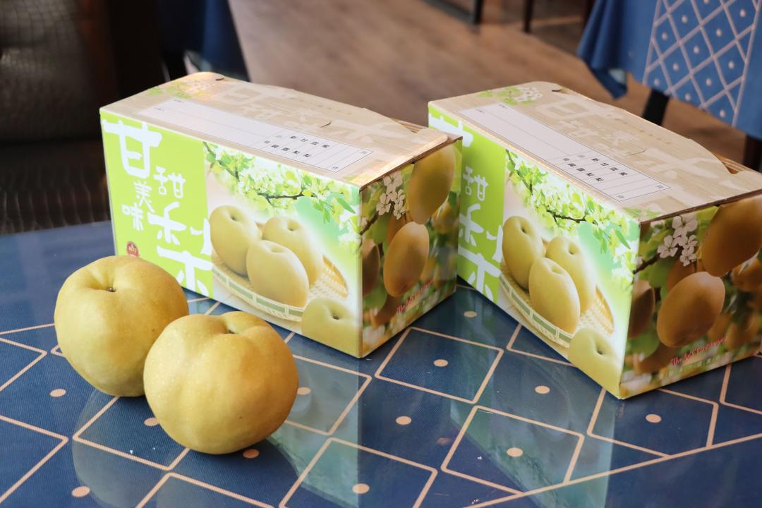 大湖出產的水梨品質優、甜脆多汁，甜度平均10度以上。（圖／往年示意圖，苗栗縣政府提供）