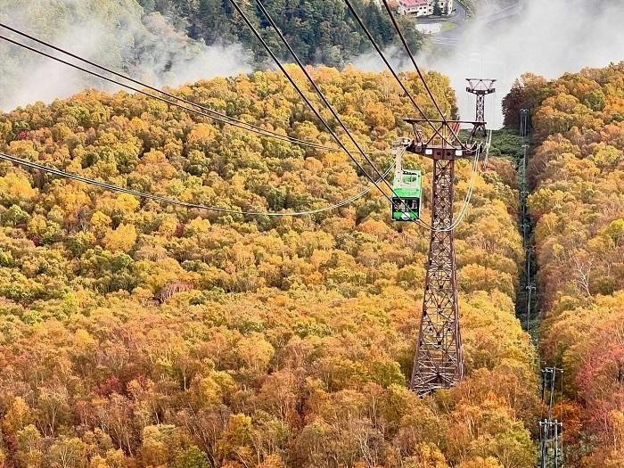 2025日本紅葉預測出爐！北海道、東北賞楓景點攻略一次公開