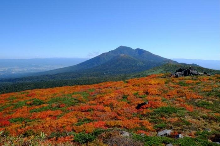 2025日本紅葉預測出爐！北海道、東北賞楓景點攻略一次公開