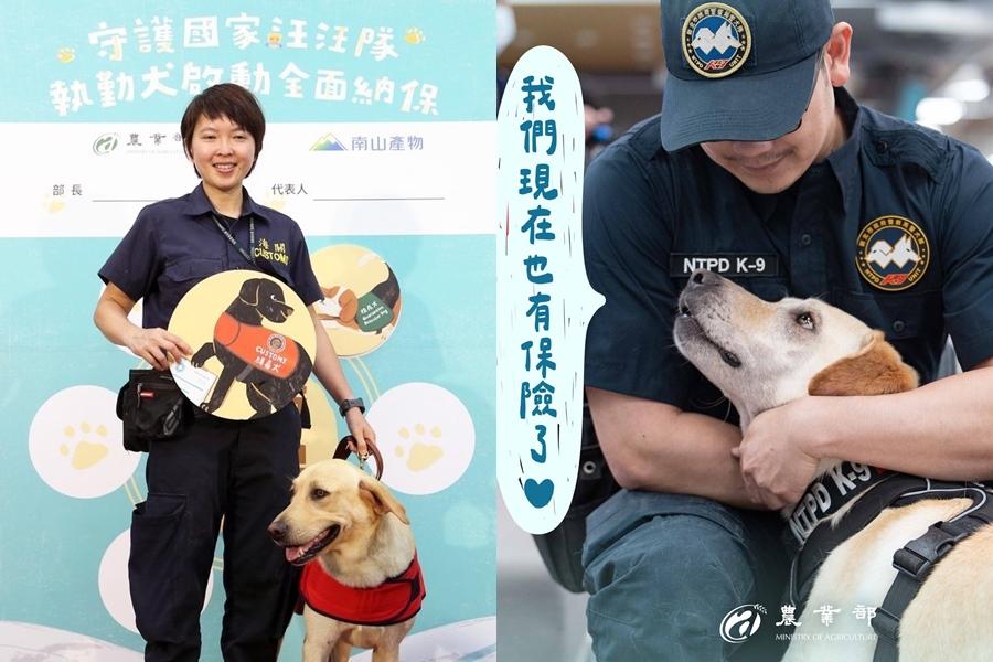 9月9日台灣狗狗節取自諧音梗！6大執勤犬全面納保守護國家汪汪隊