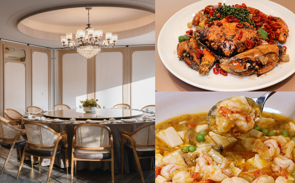台北朧粵中餐廳秋蟹佳餚上桌！炒沙公重達一公斤、蟹粉鮮蝦豆腐超下飯