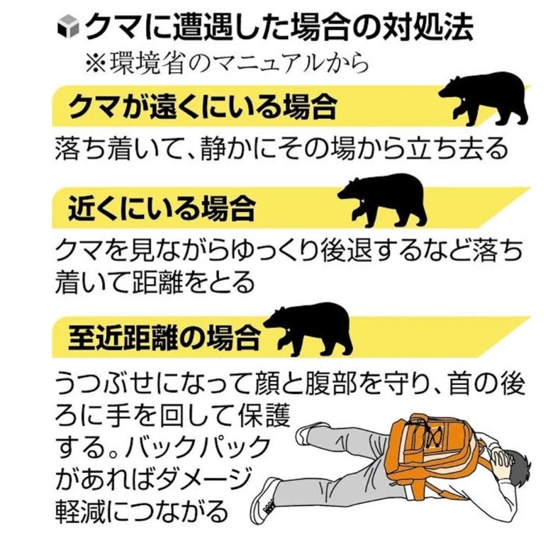日本「熊出沒襲擊人」事件頻傳！健行登山必知４招避熊自保