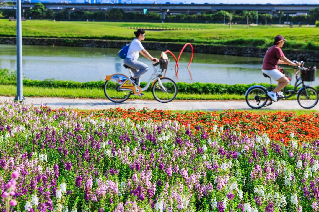 五彩繽紛的花毯搭配水岸風光更顯唯美。（圖／翻攝自戀戀水綠 台北水利FB，攝影曹正邦）