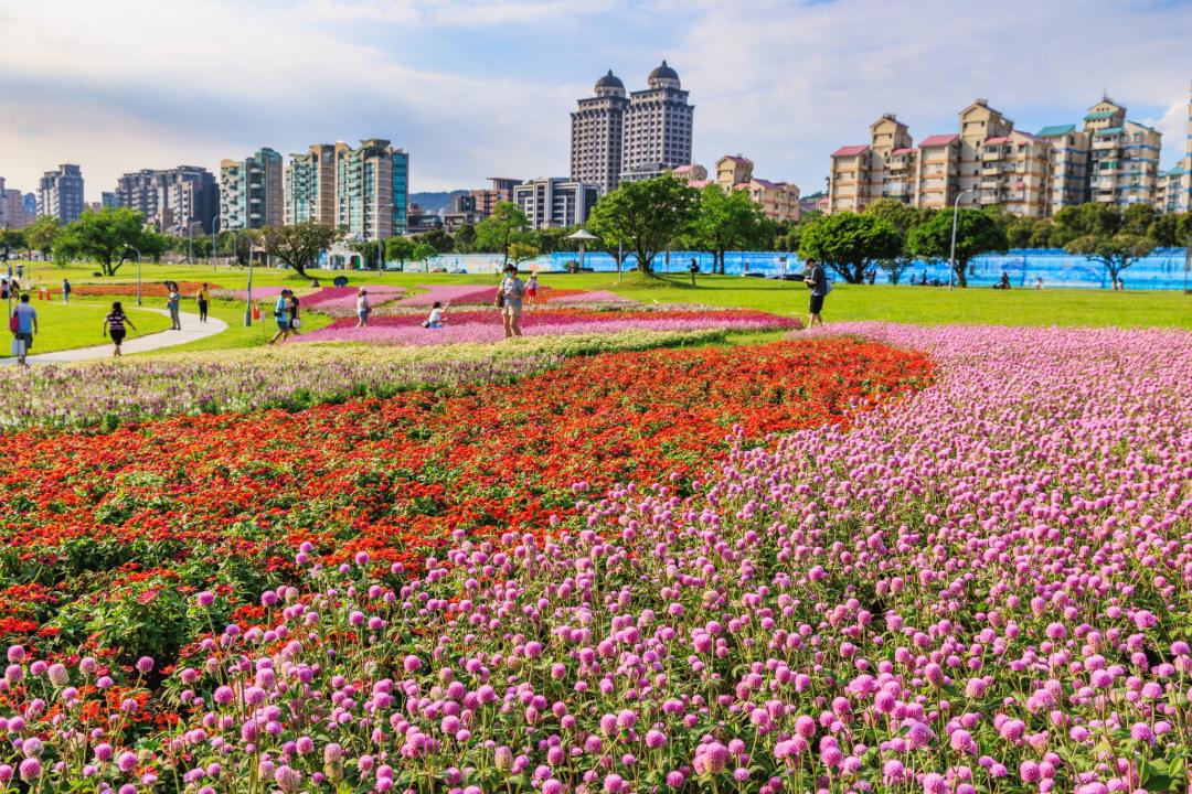 富有層次的花毯，吸引許多遊客搶先來拍照打卡。（圖／翻攝自戀戀水綠 台北水利FB，攝影曹正邦）