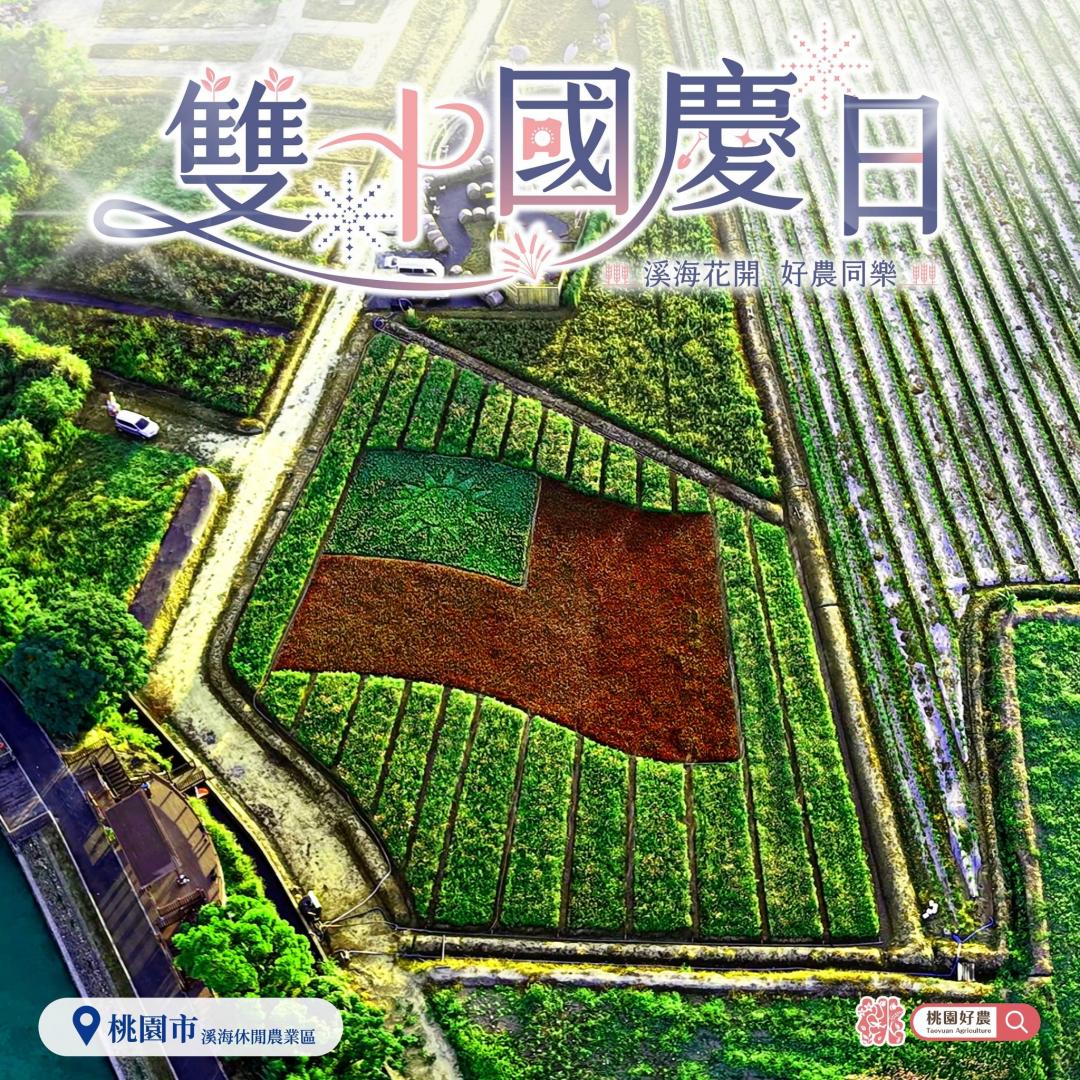藍、紅、白花朵交織成巨型「國旗花布」。（圖／翻攝自桃園好農FB)