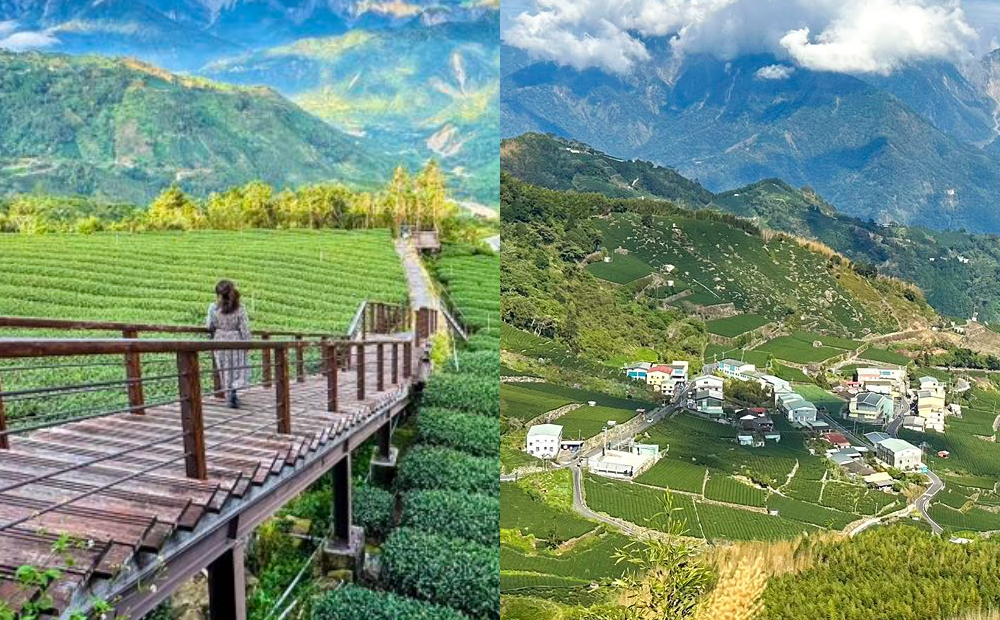 週末到嘉義森呼吸！漫遊阿里山最美茶園步道、俯瞰宛如歐洲小鎮景色