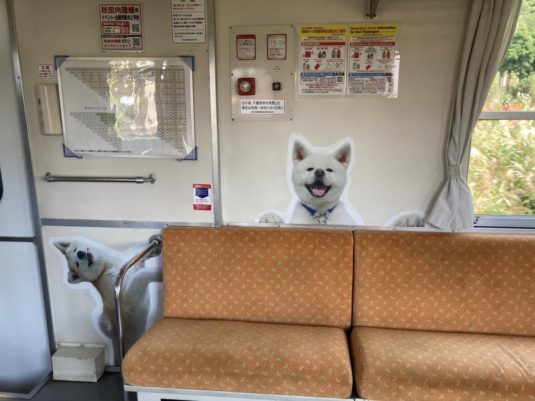 秋田路縱貫鐵道不論的一般通勤車廂，也充滿秋田犬的元素。（記者楊綿傑攝）