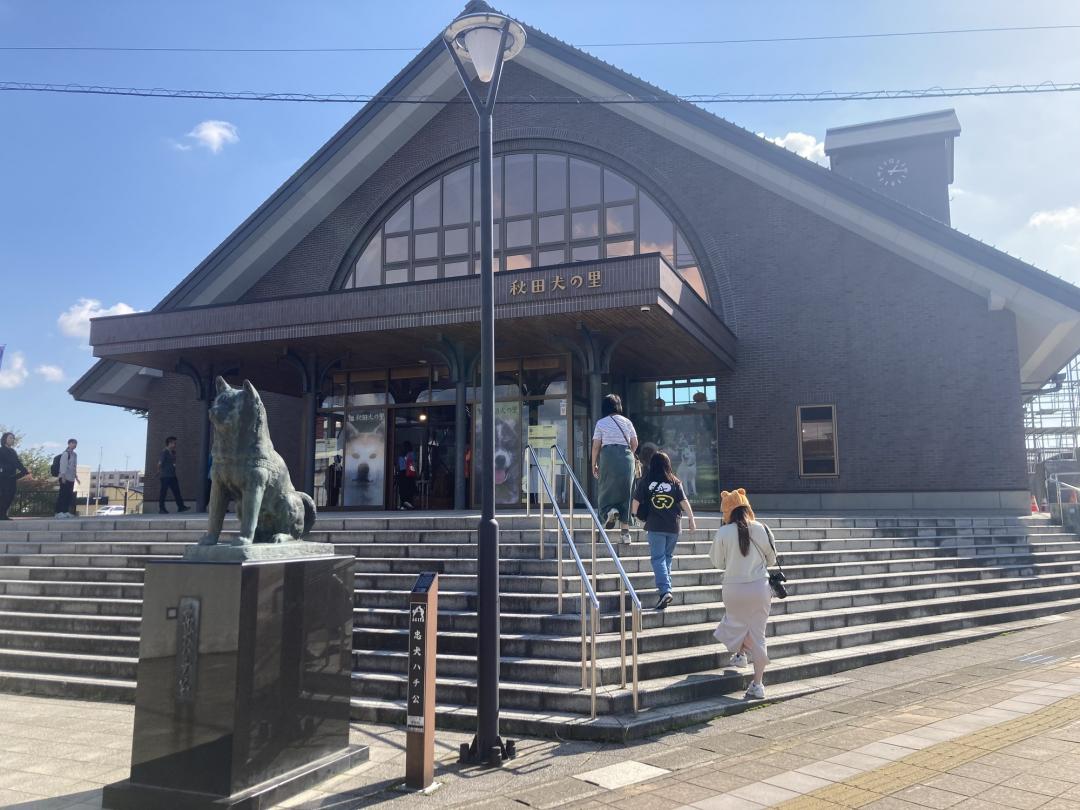 位於大館市的「秋田犬之鄉」會館，重現電影忠犬小八中東京澀谷車站的場景，門口還有主角「八公」的雕像。（記者楊綿傑攝）