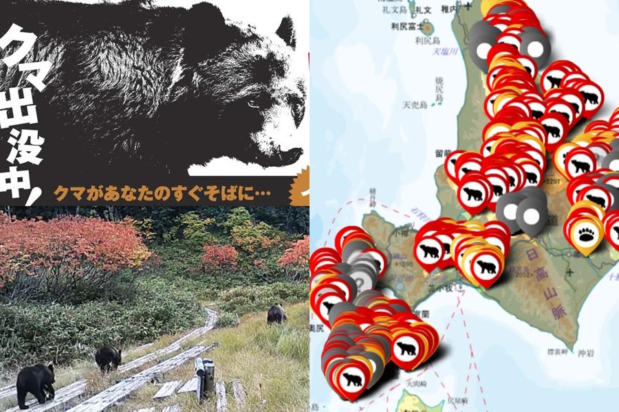日本熊出沒地圖一看太驚人!北海道、東京、京都等熊襲情報網站懶人包 日本熊出沒地圖一看太驚人!北海道、東京、京都等熊襲情報網站懶人包