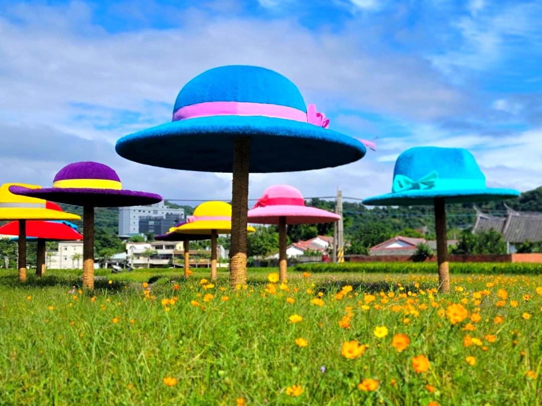 桃園花彩節11/1登場!鳳飛飛金曲再現、13公頃彩色帽子花海必拍 桃園花彩節11/1登場!鳳飛飛金曲再現、13公頃彩色帽子花海必拍