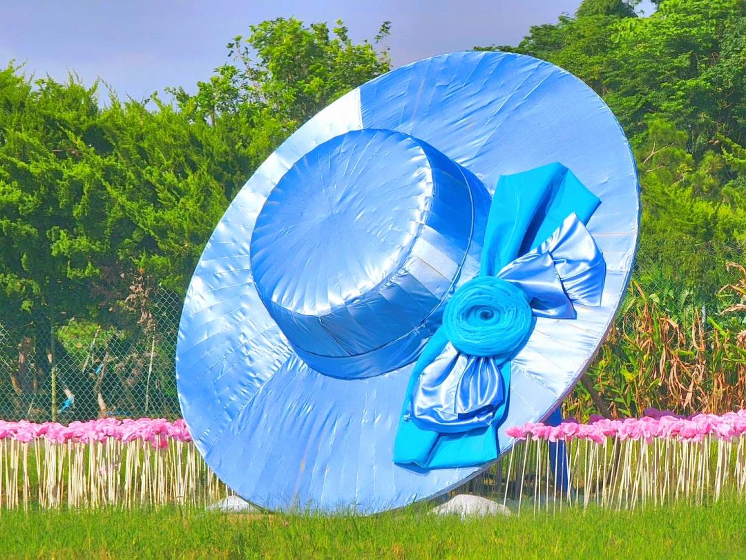 「追夢花境」照片一曝光就被網友稱讚是最美的帽子打卡點。(圖/翻攝自桃園花彩節FB)