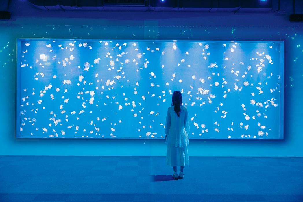 全台最大、寬達8公尺的巨型水母缸，是台中海洋館的人氣拍照點。