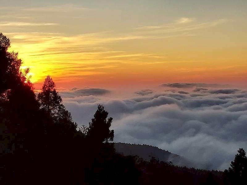 阿里山賓館10樓可俯瞰磅薄雲海。（飯店提供，美國紐澤西房客Peter Inn授權）