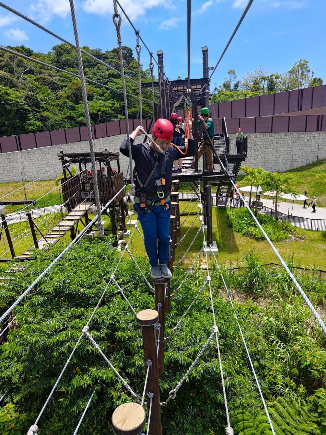 叢林亞樂園的空中步道高15公尺、長84公尺，遊客須備有全身安全設施，進行難度不小的步道關卡挑戰。（記者吳柏軒攝）