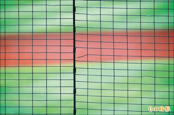 王勝偉力猛 破網擊傷女球迷