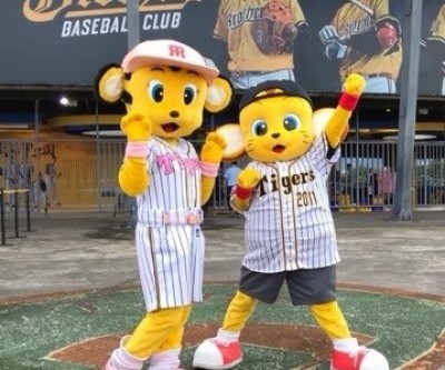 中職》阪神甲子園球場日 阪神吉祥物開球 中職》阪神甲子園球場日 阪神吉祥物開球