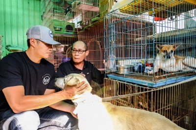 棒球》「殷」切期盼毛孩有歸宿 陳偉殷盼社會重視流浪動物議題 棒球》「殷」切期盼毛孩有歸宿 陳偉殷盼社會重視流浪動物議題