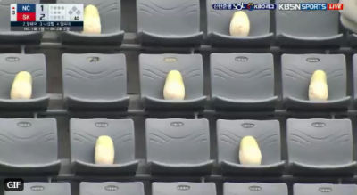 韓職》SK飛龍又有新梗！這次直接在觀眾席放「真蘿蔔」