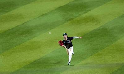 MLB》二年級撞牆又受傷！ 響尾蛇台美混血球星提前退場