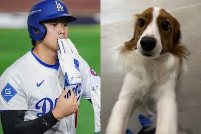MLB》大谷翔平回到家啦！ 愛犬Decoy水汪汪大眼迎接萌翻眾人