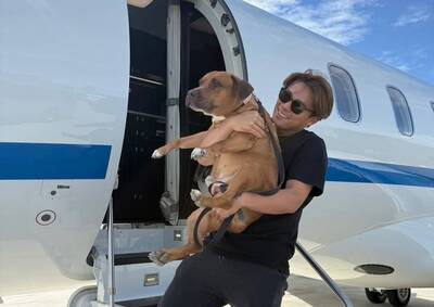 MLB》可愛爆擊！山本由伸愛犬名字曝光 還是大谷翔平Decoy的好朋友