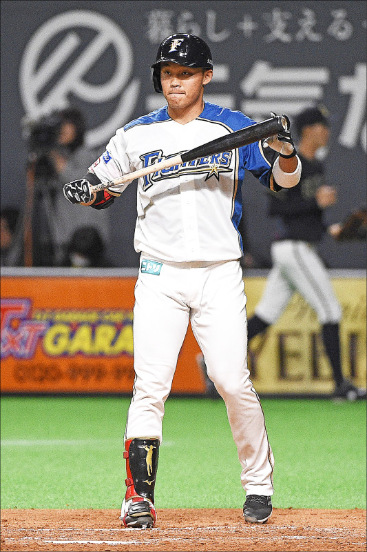 林安可接棒大王 MIT野手拚日職