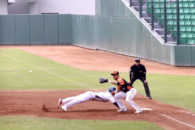 韓職樂天、NC恐龍報到 台南亞太棒球訓練中心春訓檔期全滿