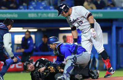 日職》驚悚畫面曝！主審遭養樂多洋砲揮棒打中頭部 送加護病房