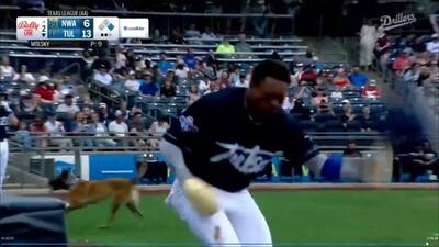 MiLB》道奇單季百盜新星「閃狗」竟意外受傷！美媒曝不樂觀（影音）