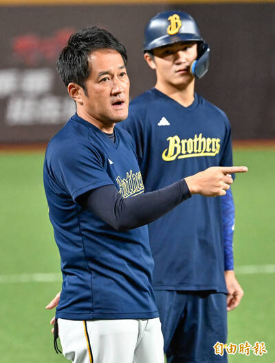中職》兄弟最大黑馬無法競爭新人王 前2年僅獲13打席原因解密