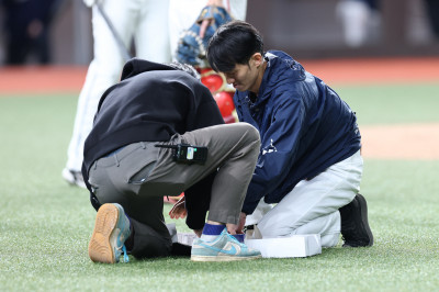 中職》大巨蛋爆「安鼠之亂」 遠雄回應了