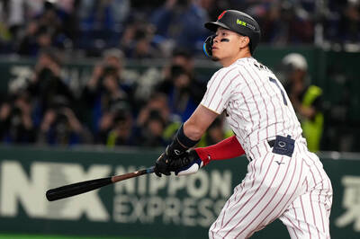 MLB》道奇補強目標出爐？緊盯日本163轟MVP怪力男 高層親自說明