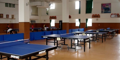 智淵乒乓運動館內部環境。（取自智淵乒乓運動館網站）