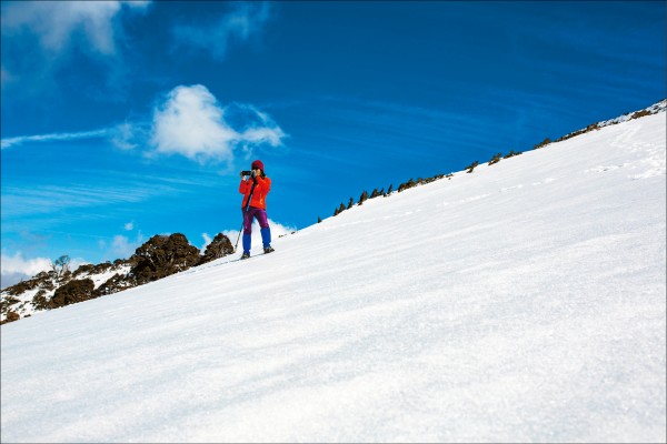 今年雪山降雪豐厚，美景宛如置身北國。（記者王元鴻攝）
