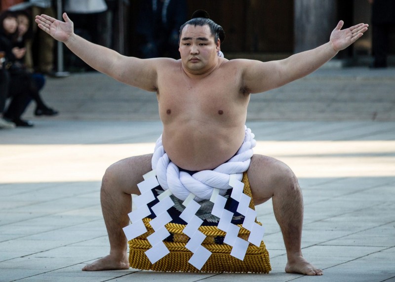 の 相撲 取組 結果 今日