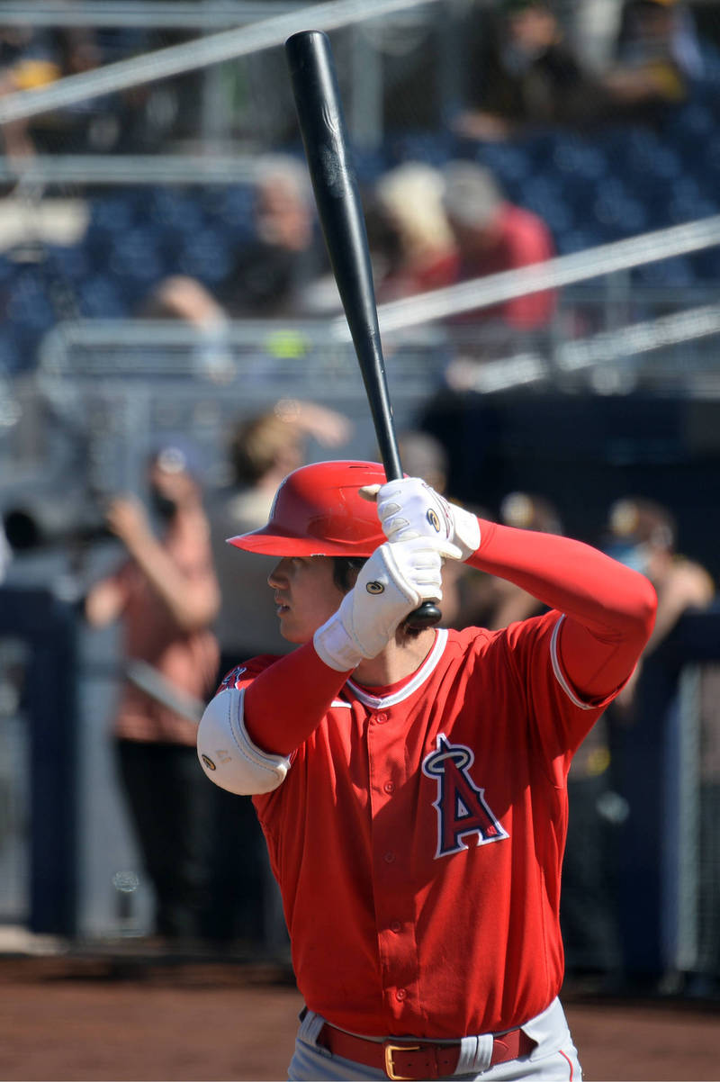 大谷翔平。（USA TODAY Sports）