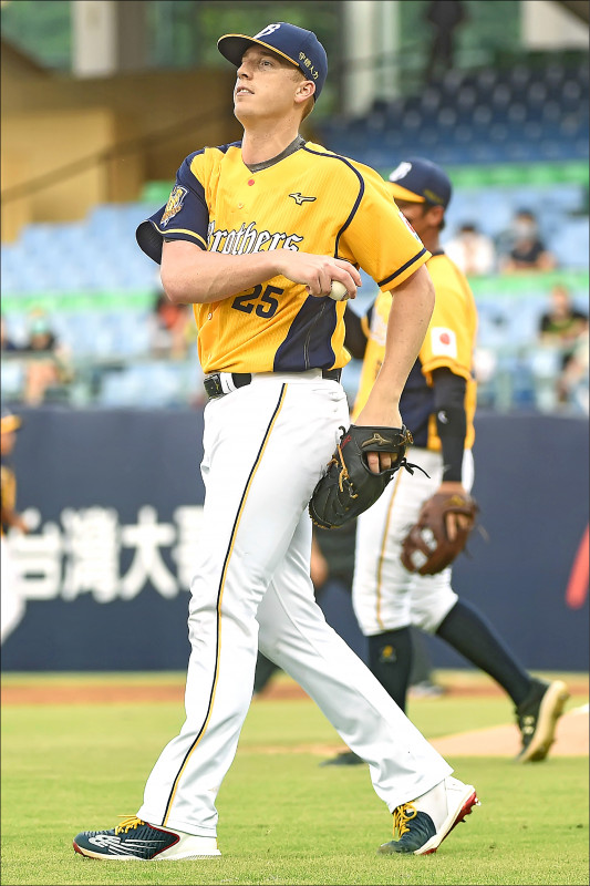 泰迪（資料照）