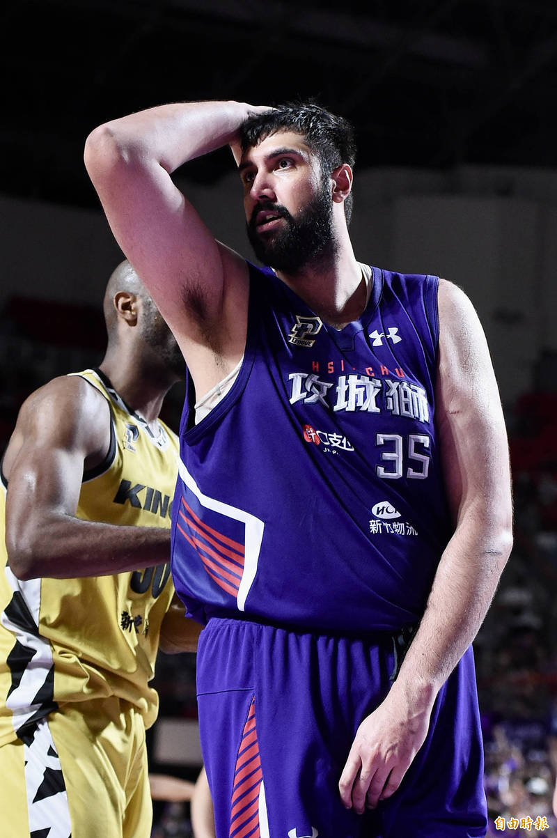 辛巴。（資料照，記者塗建榮攝）