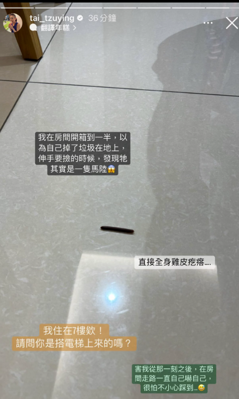 戴資穎最近不只一次在房間發現馬陸。（取自IG）