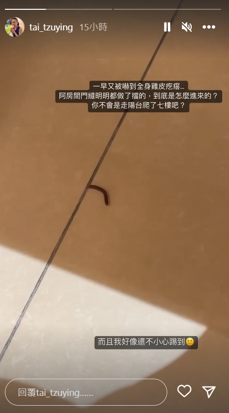 戴資穎最近不只一次在房間發現馬陸。（取自IG）