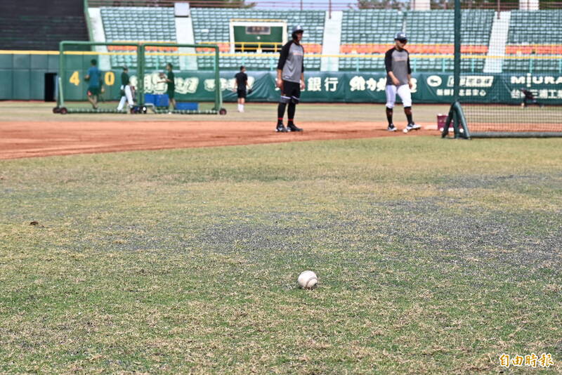 澄清湖棒球場預計5月底前完成場地養護再銜接6月底封場全面整修。（資料照，記者李惠洲攝）