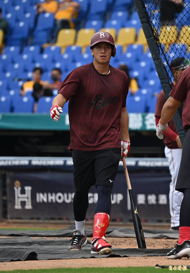 樂天桃猿林立。（記者廖耀東攝）